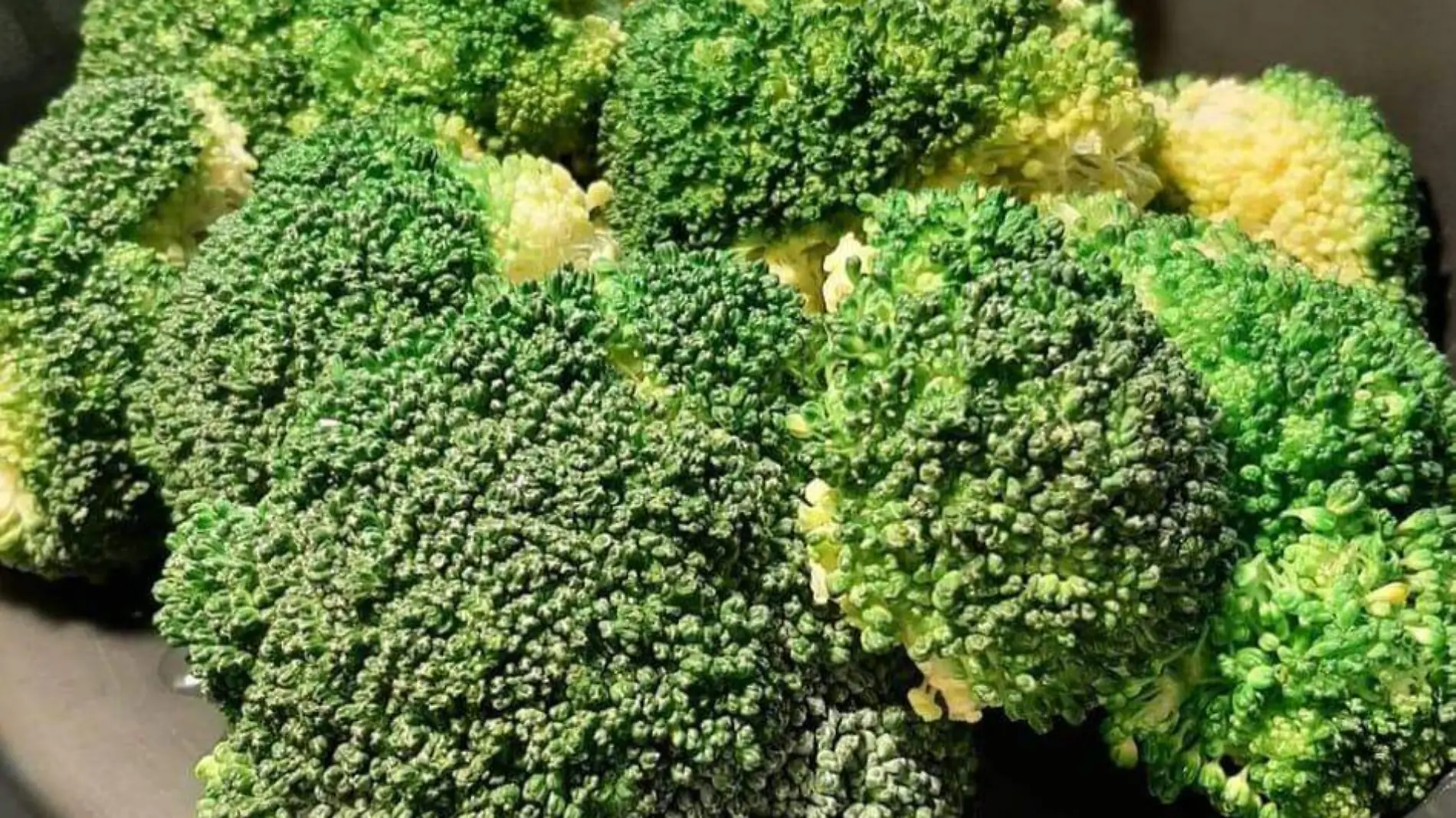 brocoli 1